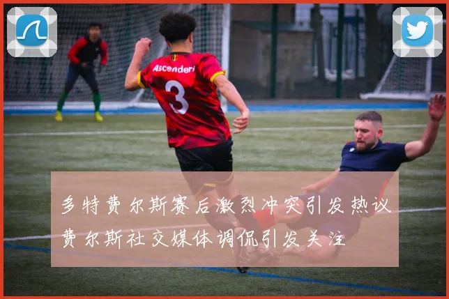 多特费尔斯赛后激烈冲突引发热议费尔斯社交媒体调侃引发关注