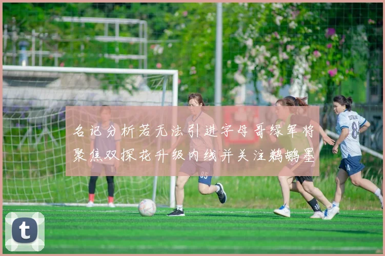 名记分析若无法引进字母哥绿军将聚焦双探花升级内线并关注鹈鹕墨菲