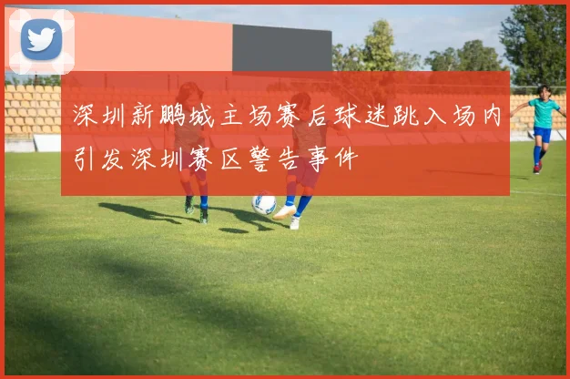 深圳新鹏城主场赛后球迷跳入场内引发深圳赛区警告事件